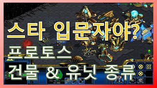 스타크래프트 기초 프로토스 건물, 유닛, 업그레이드 종류 (starcraft)