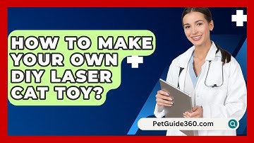 How To Make Your Own DIY Laser Cat Toy? - PetGuide360.com