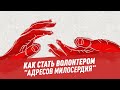 Как стать волонтером "Адресов милосердия" - Адреса милосердия