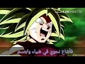 دراغون بول على اغنية يا ليلي ويا ليلا