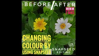Snapseed Photoediting Tutorial/colour changing with in 2mins. screenshot 5
