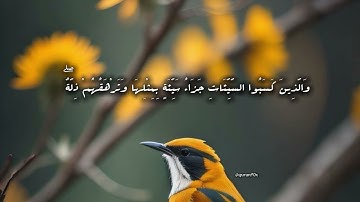 سورة يونس بصوت جميل وهادي للقارئ عبدالرحمن مسعد