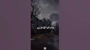 سورة يوسف ✨💫 #الشيخ_سيد_سعيد