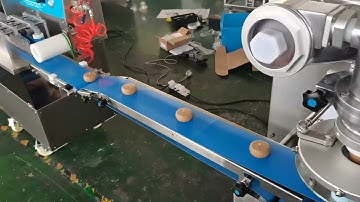 Testing video for the P160 automatic mooncake production machine before the shipment