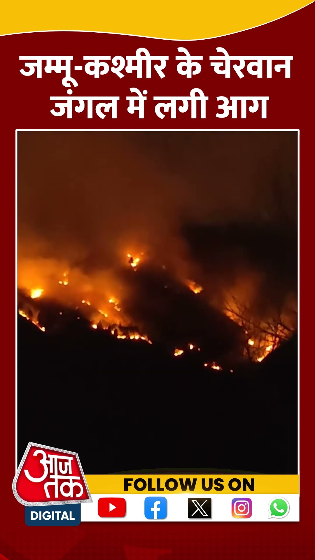 Jammu-Kashmir Fire: जम्मू-कश्मीर के चेरवान जंगल में लगी आग #shorts #shortsvideo #viralvideo