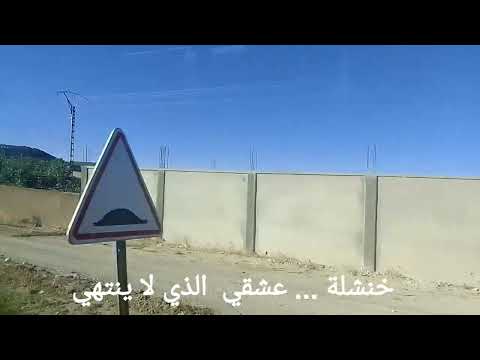 يا عيني نوحي للفنانة ثلجة تراث جزائري