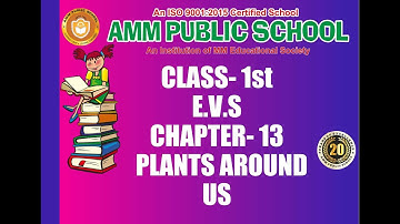 CLASS- 1st II E.V.S II CHAPTER- 13 II PLANTS AROUND US II