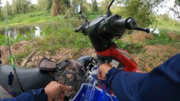 Câu lure #10. Lần đầu câu cá rừng U Minh Thượng, Kiên Giang.