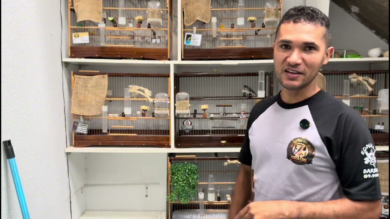 Preparação# de alimento#de#coleiro#para#apronta#coleiro#coleirosolto #passarinho #aves 