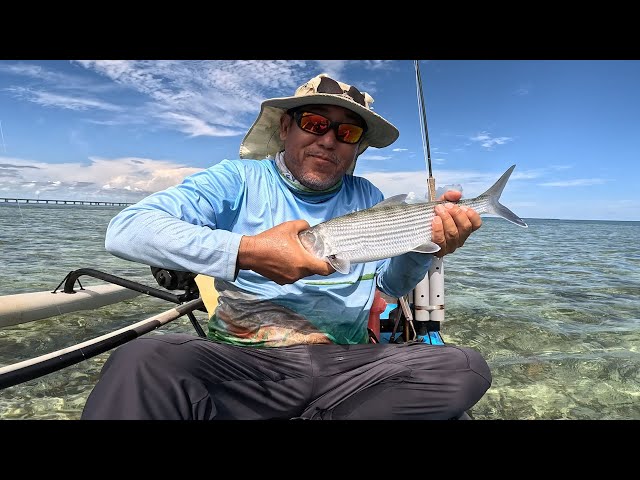 lamiglas x11 vs okuma sst Lamiglas LX96MS X-11 Salmon/Steelhead Spin Rod, 9'6", 2 Pc, Mod., Med,  1/4-3/4 oz Lures, 8 Lb