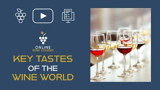 Key tastes of the wine world 🍇 Online Wine Courses ➡️ with QUIZ screenshot 2