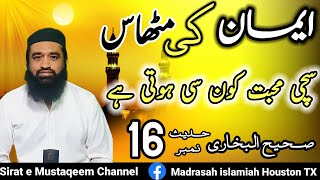 Sahih Bukhari Hadith in urdu | hadees nabvi in urdu| Islamic Videos | 16 صحیح بخاری حدیث نمبر
