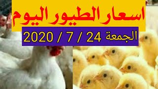 سعر الدواجن و الفراخ البيضاء من بورصة الدواجن اليوم الجمعة 24 / 7 / 2020