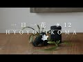 一日一花　#12