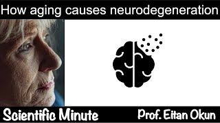 Understanding the effects of aging on the cells in our body | Scientific minute