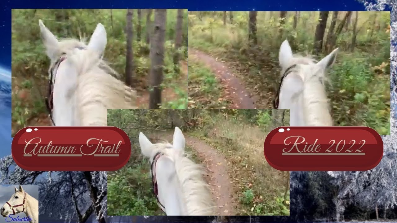 Autumn Trail Ride - A Stunningly Beautiful 2022 Horse Adventure - YouTube