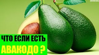 Что будет если есть авокадо каждый день?