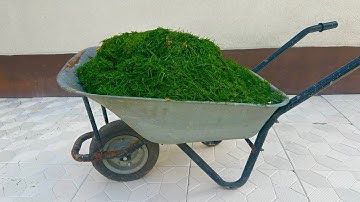 Meng suiker met gras en je gooit het nooit meer weg