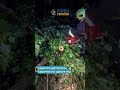 ❗️Вінниччина: рятувальники ліквідували наслідки нічної негоди❗️