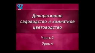 Цветы. Урок 2.4. Орхидеи. Часть 1 Цветы. Урок 2.4. Орхидеи. Часть 1
