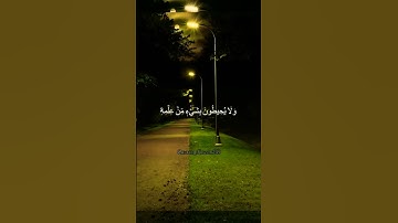 #القرانالكريم #quran #reels #سبحان_آلله #fypシ #قرآن #قراءة_خاشعة #تلاوات #راحة_نفسية #القدس #فلسطين
