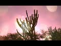 Lito Biología Rock - En Acuarelas (Video Lyric)