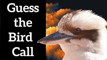 Guess the Bird Sound - Australian Bird Calls