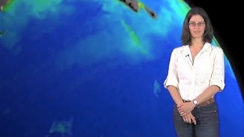 Dianne Newman (CalTech) Part 3: Interpreting Molecular Fossils of Oxygenic Photosynthesis