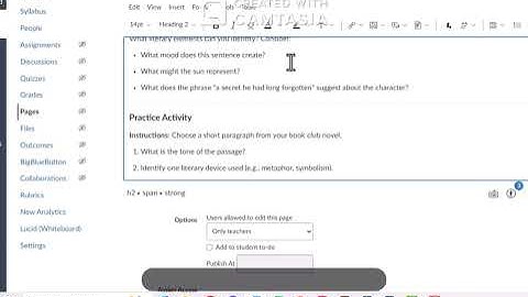 Accessibility Basics for Canvas Tutorial