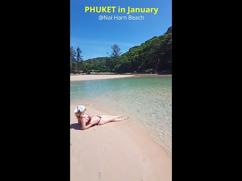 Phuket in January 2023 #shorts