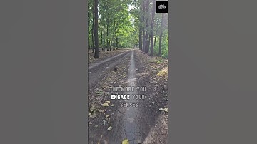 Powerful Visualization Techniques for Success  #psychology#motivationalquotes #motivation