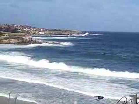 The Surf On Coogee Beach The Surf On Coogee Beach
