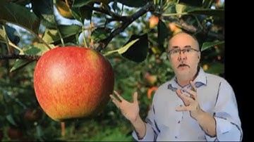 Reflections on Outcome Mapping S01E04