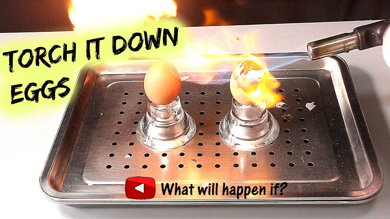 EGG VS GAS TORCH