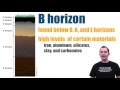Understanding Soil Horizons