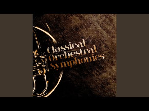 Παρακολούθηση Symphony No. 5 in B-Flat Major, D. 485: IV. Allegro vivace στο YouTube