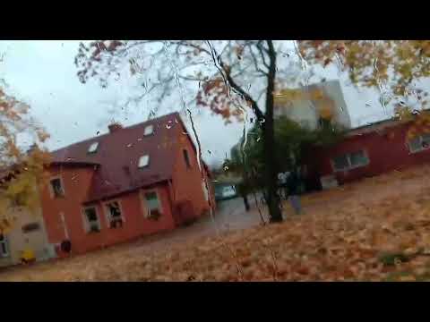 Video: Zhur Polandia Dengan Sandung Lamur Asap