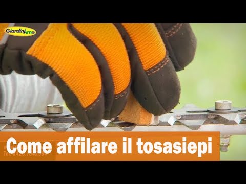 Come affilare il tosasiepi