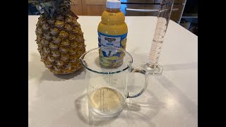 The effect of pineapple juice on gelatin.  Experiment