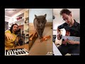 The Kiffness X Alugalug Cat 2.0 X MultiDavid (Please Go Away) piano guitar voc