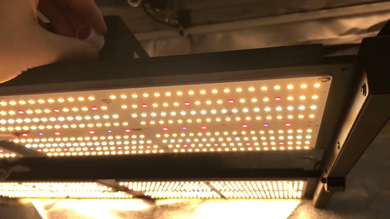 480w foldable panel quantum boards grow light