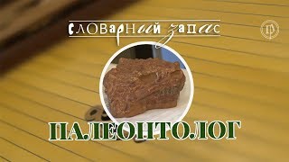 Словарный запас. Палеонтолог