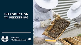 Introduction to Beekeeping
