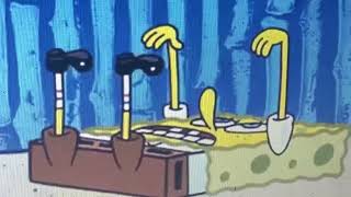 IMG 3604