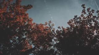 Autumn | Music for studying