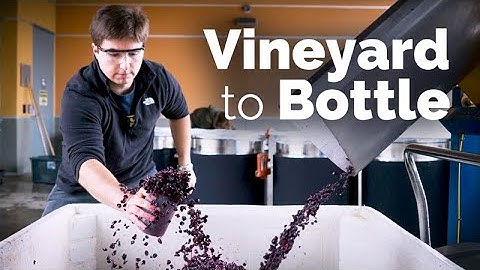 The Art and Science of Wine Processing