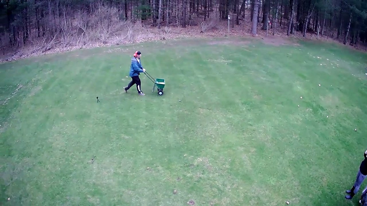 13 Overseeding a lawn "Kentucky 31" YouTube