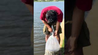 Penebaran ikan Gurame dan ikan Tembakang