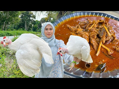 쫄깃한 식감이 일품인 아얌 무티라(Ayam Mutiara) 구라이 커리식