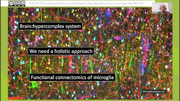Deciphering contactomics and molecular characteristics of microglia – a multi-modal approach